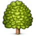 🌳