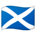 🏴
