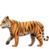 🐅